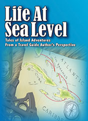 Life at Sea Level by Stephen J Pavlidis